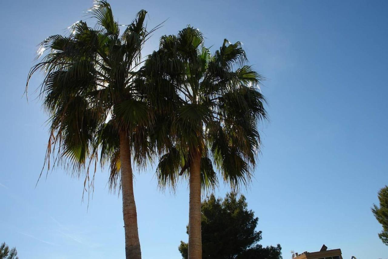 Havana Alcudia  Exteriör bild